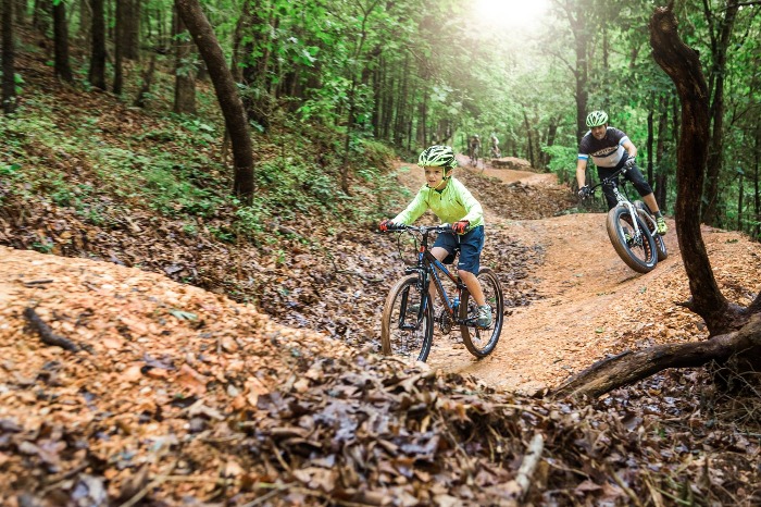 Bentonville AR Biking