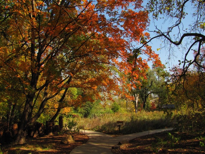 Compton Gardens & Arboretum