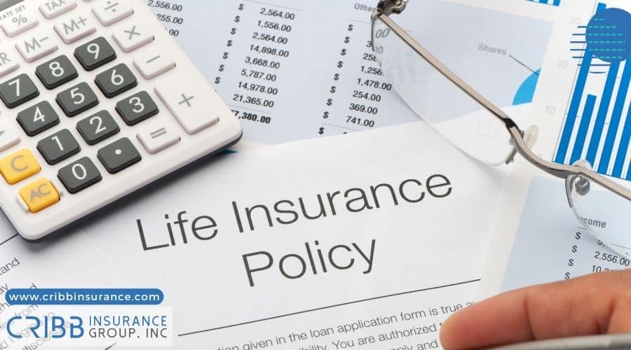 whole life insurance