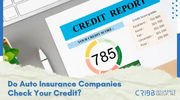 Credit score meter with insurance label