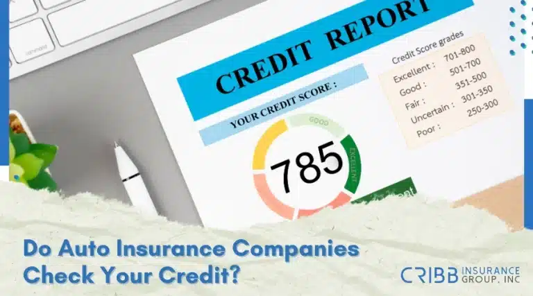 Credit score meter with insurance label
