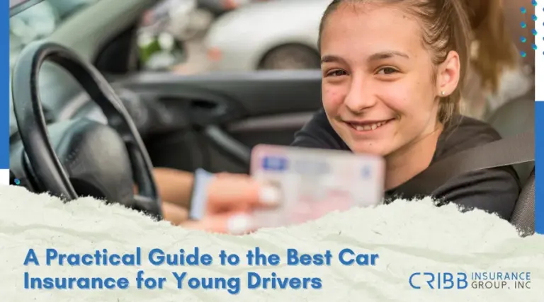 Young driver holding car insurance card