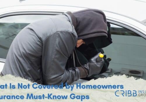 What Is Not Covered by Homeowners Insurance Must-Know Gaps