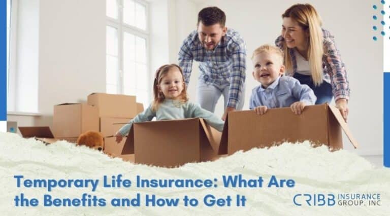 temporary life insurance