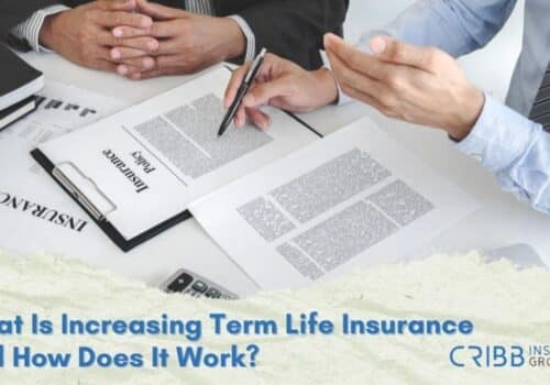 what is increasing term life insurance